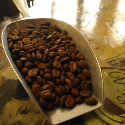 Café Colombie Antioquia