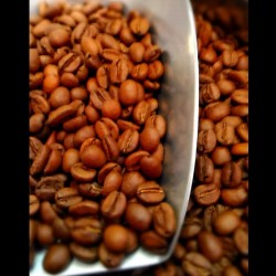 Café Ethiopie