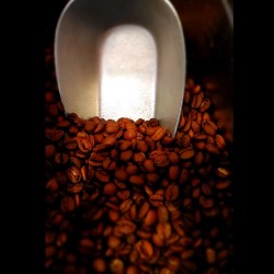 Café Brésil Cerrado