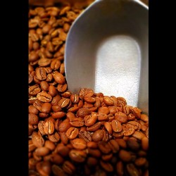 Café Pérou El Palomar