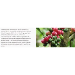 Equateur Palanda