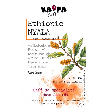 Ethiopie Nyala