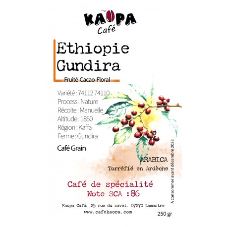 Café Éthiopie Gundira Shela Kaffa Nature - Kaopa Café